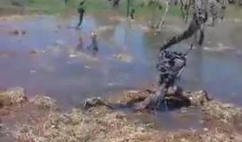 المستوطنون يغرقون أراضي مواطنين من عائلة الصبارنة في بيت امر شمال الخليل بالمياه العادمة في منطقة واد اشخيت شمال بيت امر والقريبة من تجمع مستوطنات "غوش عصيون"