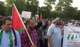 #شاهد | مظاهرة في مدينة سانت لويس بولاية ميزوري الأمريكية نصرة للمسجد الأقصى المبارك. 
#إلا_الأقصى