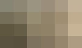 تمزيق صور محمود عباس في جامعة الأزهر بمدينة غزة خلال مناوشات بين أنصاره وبين أنصار القيادي المفصول محمد دحلان