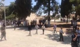 #مباشر.. قوات الاحتلال تعتدي على المصلين بالمسجد الأقصى بقنابل صوتية