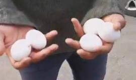 #فيديو فلسطينيون يتظاهرون قرب معبر بيت حانون / ايرز شمال قطاع غزة رفضا لزيارة وفد بحريني مطبع مع الاحتلال