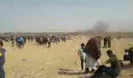 الآن .. مواجهات شرق جباليا شمال القطاع

ذتصوير أنس جمال الشريف