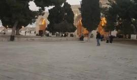 #مباشر من باحات المسجد الاقصى المبارك