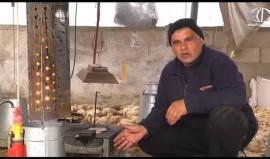 مربو الدواجن في القطاع يبتكرون طرقا جديدة لتدفئة مزارعهم - رمزي البيروتي