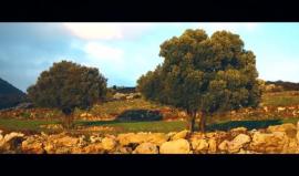 #شاهد 
جديد .. أنشودة شعب الجبارين