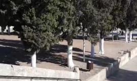 #مباشر رفع آذان العصر من المسجد الأقصى المبارك