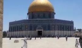 #بث_مباشر صلاة الجمعة في المسجد الأقصى المبارك