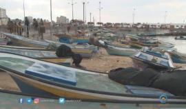 #غزة | 80 الف دولار خسائر قطاع الصيادين جراء المنخفض الجوي.
تقرير : محمد الداعودي