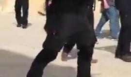 #شاهد مستوطنون يقتحمون باحات المسجد الأقصى المبارك بحماية أمنية مشددة