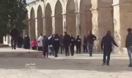 فيديو - مستوطنون يقتحمون الأقصى المبارك بحماية أمنية
