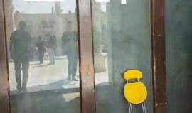 #شاهد #مباشر .. جولة داخل المسجد الاقصى المبارك