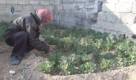 أبو فادي يختصر حال أهالي الغوطة الشرقية في ريف دمشق