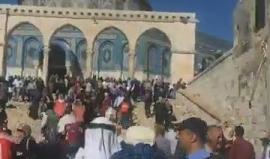 #شاهد | خروج المصلين قبل قليل من الأقصى المبارك بعد أداء صلاة العصر .