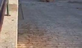 #شاهد كيف يلهو أطفال القدس المحتلة

تصوير: مؤمن مرعي

#ترفيه