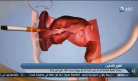 دراسة علمية تكشف أن تدخين علبة سجائر يوميا يسبب 150 ضررا في الرئة