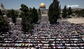 #شاهد| خطة استيطانية جديدة لابتلاع #القدس و #الضفة_الغربية
تقرير سمير العركي