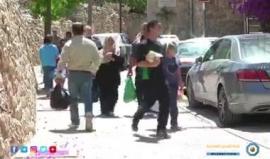 #شاهد
طعام لآلاف المحتاجين يوميًا.. تعرف على التكية الابراهيمية في #الخليل.