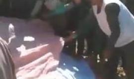 #فيديو 16 قتيلا وعشرات الجرحى بحادث تصادم قطارين في محافظة #البحيرة