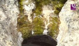 تعرف على زيت "البدودة" الذي يعتبر من التراث الفلسطيني

تقرير: رهام أبو حبلة