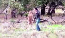 لقطة طريفة .. 

#شاهد رجل يلكم "كنغر" على وجهه لإنقاذ حياة كلب محاصر في المناطق النائية بإستراليا