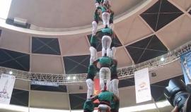 انهار الهرم في النهاية .. 

#شاهد جانب من مسابقة "هرم البشر" التي أقيمت في كتالونيا الإسباني