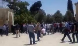 #مباشر .. انطلاق مسيرات بالمسجد الاقصى المبارك احياء لذكرى هبة باب الاسباط