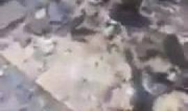 المرصد السوري: عدد قتلى تفجير جبلة يرتفع إلى 14 شخصا
shehab.ps/post/5570