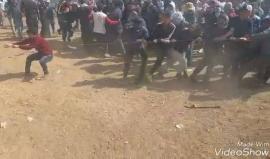 الشبان "كتف بكتف" يسحبون السلك الزائل على الحدود الشرقية لغزة أمس