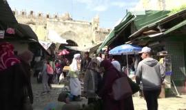 المقدسيون سكان أصليون وليسوا مهاجرين