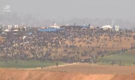 #مباشر من الداخل المحتل عام 48 يظهر الفلسطينيين المتوافدين إلى السياج الفاصل شرق قطاع غزة ضمن #مسيرات_العودة_الكبرى