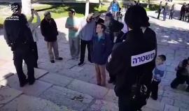 #فيديو 120 مستوطنا اقتحموا المسجد الأقصى المبارك اليوم بحماية أمنية مشددة