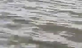 قوارب "الموت" تبحر بمسلمي #الروهنغيا وسط أمواج متلاطمة هربا من نيران جيش ميانمار التي تلتهم قرية (أندانغ)