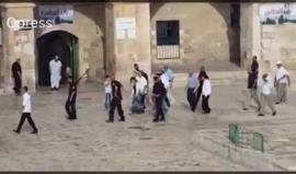 #شاهد مستوطنون يقتحمون المسجد الأقصى بحماية أمنية مشددة