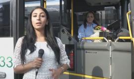 #شاهد .. ماجدة دنديس أول سائقة حافلة في مدينة القدس المحتلة . 

تقرير لما غوشة