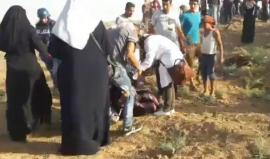 #مباشر قوات الاحتلال تطلق قنابل الغاز والنار صوب المشاركين في فعالية "فلسطينيات نحو العودة وكسر الحصار" في منطقة ملكة شرق غزة

تصوير: سامي مصران