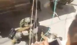 ماذا قال أهالي منطقته ؟ 
لحظة اعتقال قوات الاحتلال للشاب رامي غانم في بلدة برقين بجنين قبل قليل