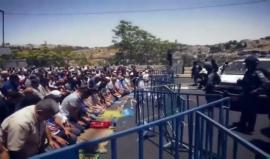 بعد إبلاغ #ترامب القادة العرب نيته نقل السفارة الأمريكية إلى القدس.. هل تتوقع أن تكون رد الفعل العربية كافية ؟!