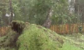 #شاهد هذا الفيديو .. 
"ماثيو" .. إعصار عنيف يقتلع الأشجار من الأرض بقوة في #فلوريدا !!