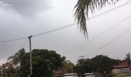 مشهد مرعب.. ماذا حدث لهذا الغراب؟