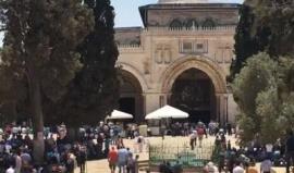 #بث_مباشر | خطبة الجمعة بالمسجد الأقصى المبارك

تصوير : ابراهيم السنجلاوي