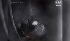 أطلقوا عليه النار واعتدوا عليه بشكل وحشي .. 

#فيديو كامل يكشف جريمة اعدام الشاب ياسين السراديح على يد جنود الاحتلال في أريحا نشرته مؤسسة بتسيلم الإسرائيلية الحقوقية