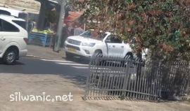 #شاهد #شاهد | جنود الاحتلال يسرقون كمية من الخضار عقب اقتحام إحدى المحال في حي رأس العامود بالقدس المحتلة.