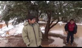 أوضاع إنسانية سيئة يعاني منها النازحون في ريف حمص