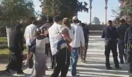 مستوطنون يقتحمون المسجد الأقصى