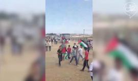 #فيديو تواصل الزحف الجماهيري في المناطق الشمالية الشرقية لقطاع غزة