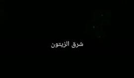 #فيديو أصوات الانفجارات الناجمة عن قصف اراضي المواطنين في منطقة السودة شرق حي الزيتون في غزة