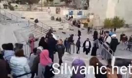 قوات الاحتلال تقمع وتضرب النساء اللواتي واصلن اعتصامهن منذ ظهر اليوم واخلاء ساحة باب العمود