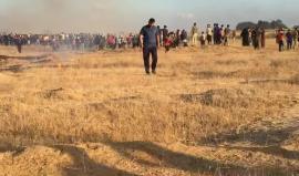 #مباشر 

مراجهات عنيفة جداً بالقرب من السياج الفاصل شرق البريج وسط قطاع غزة 

بث مراسلنا أحمد المفادمة