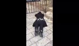 مستوطن يؤدي صلوات تلمودية على إحدى بوابات المسجد الأقصى