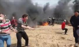 #شاهد
الشبان ينتزعون السياج الفاصل مع الاحتلال شرق مدينة غزة اليوم.
تصوير ALaa Mohsen